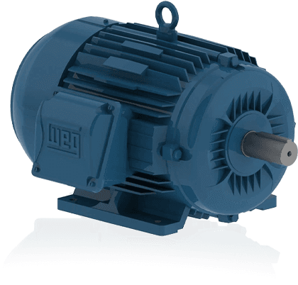 MOTORS & REDUCERS