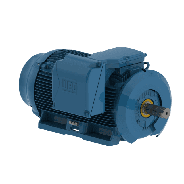 Motors for harsh environments