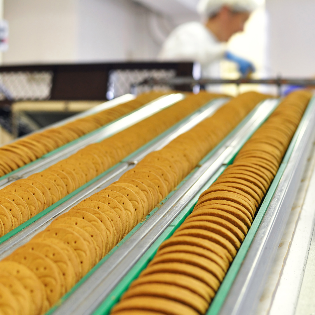 Chumaceras para la industria de alimentos